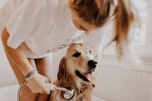 Is shampoo really necessary? What the science says