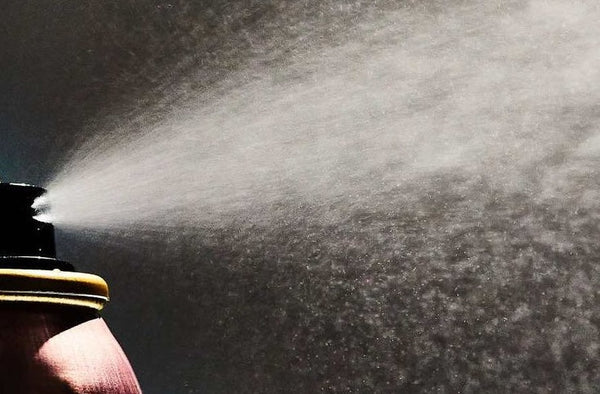 Does Dry Shampoo Help With Dandruff? What It Can & Can't Do
