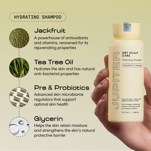 Moisture Boost Duo - 8.5 oz