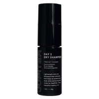 Day 2 Dry Shampoo