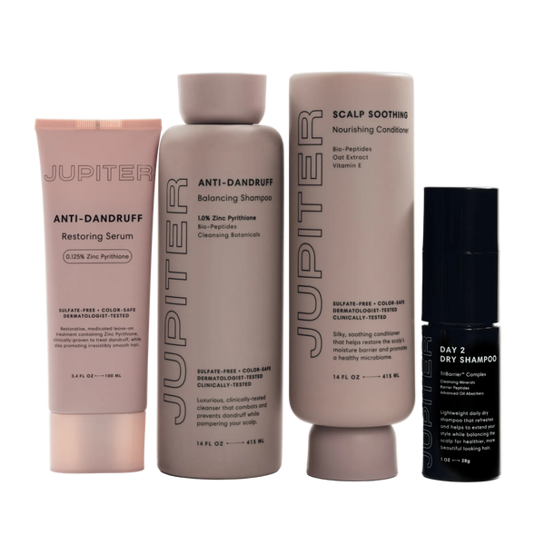 Day 2 Dry Shampoo + Advanced Oil Control Trio