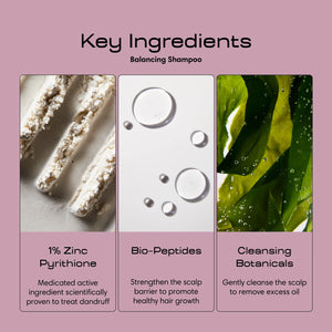 Oil Control + Exfoliation Set